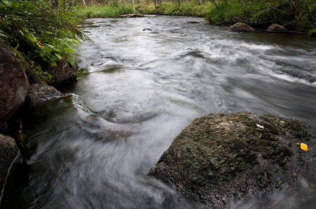 Foto: Vincent Westberg